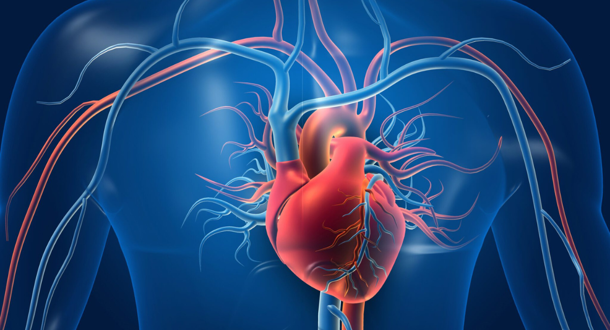 Tadalafil Side Effects
